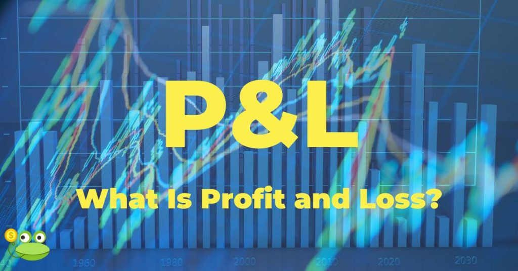 What is P&L and how to use it effectively in your business